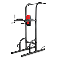 Weider the Best Power Tower